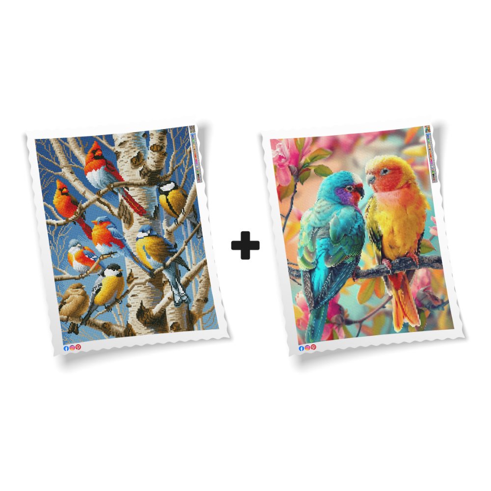 Black Friday Limited Edition Bundel   Prachtige Vogels