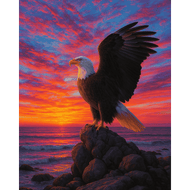 Adelaar bij de zonsondergang - Diamond Painting