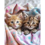 Diamond Painting - Kittens onder de dekens