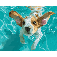 Onderwaterzwemmer - Diamond Painting