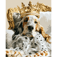 Koninklijke setter - Diamond Painting