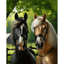 Foto laden in Gallery viewer, Bruin en zwart paard