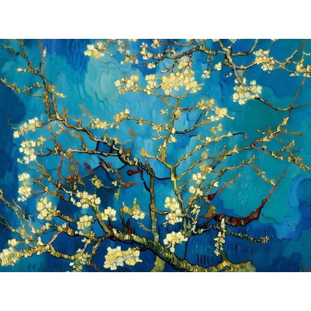 Amandelbloesem | Vincent van Gogh