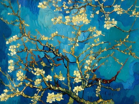 Amandelbloesem | Vincent van Gogh