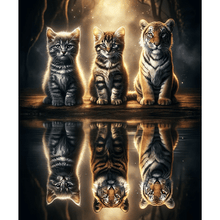 Foto laden in Gallery viewer, 3 Kittens weerspiegeling