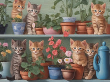 Foto laden in Gallery viewer, Kittens in kast