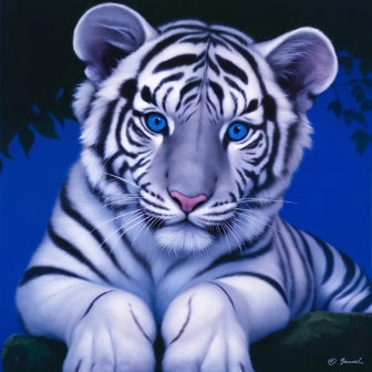 Tijger jong
