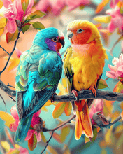 Foto laden in Gallery viewer, Kleurrijke Vogels