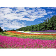 Foto laden in Gallery viewer, Bloemenweide