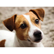 Foto laden in Gallery viewer, Hond 2