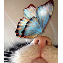 Foto laden in Gallery viewer, Vlinder op kattenneus