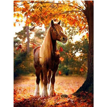 Foto laden in Gallery viewer, Paard in de herfst
