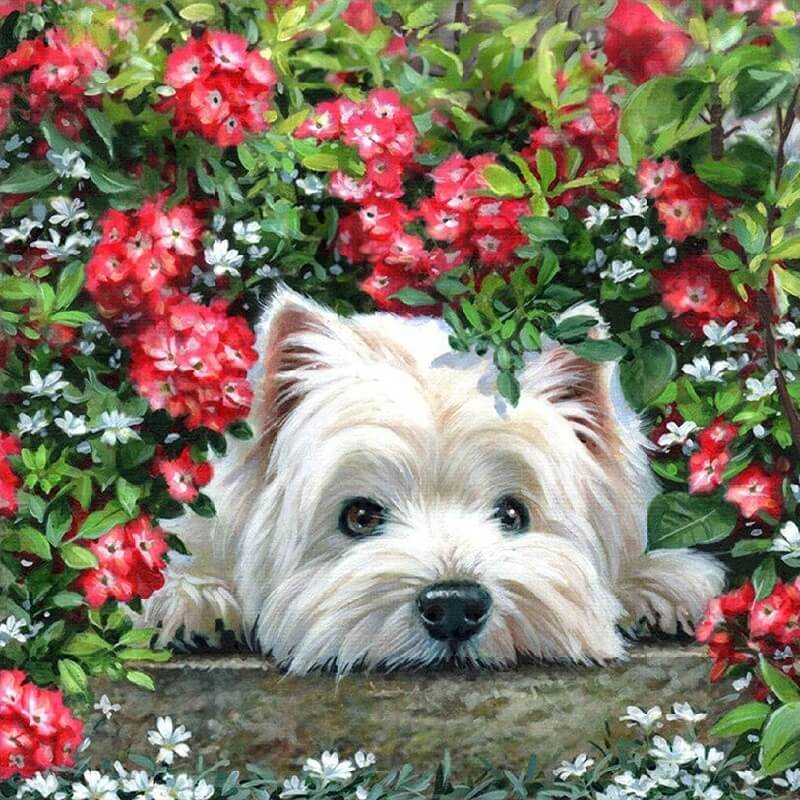 Hond onder bloemen