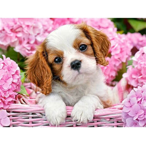 Puppy tussen bloemen