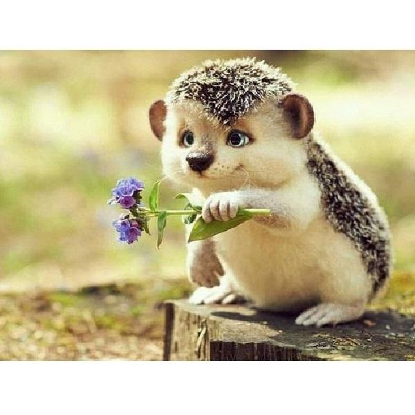 Egel met bloemen
