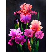 Foto laden in Gallery viewer, Iris bloemen