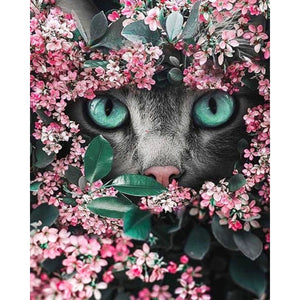 Kattenogen tussen de bloemen
