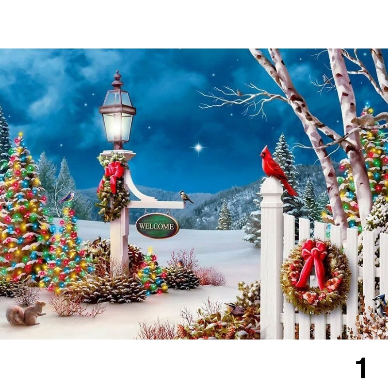 Kerstlandschap | 12 soorten