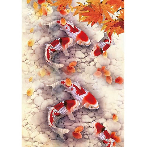 Koi karper