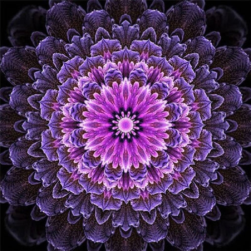 Mandala-paars