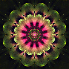 Foto laden in Gallery viewer, Mandala roze/groen