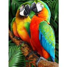 Foto laden in Gallery viewer, Papegaaien