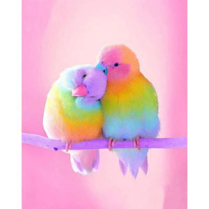 Regenboogkleurige vogels