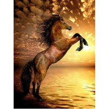 Foto laden in Gallery viewer, Wild paard