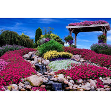 Foto laden in Gallery viewer, Tuin