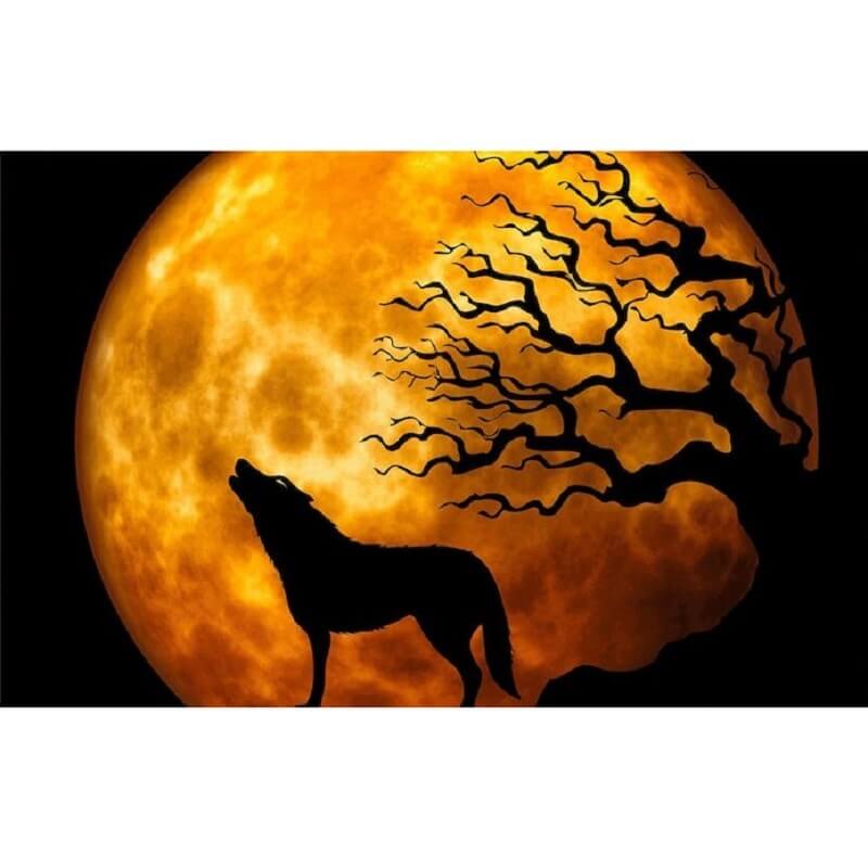 Wolf in het maanlicht