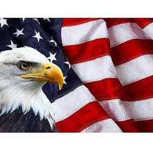 Foto laden in Gallery viewer, American Eagle Diamond painting | Eigen foto | Dieren | Kopen | Dikke dames | Action | Nederland | Steentjes | Diamant | De Diamond Painter