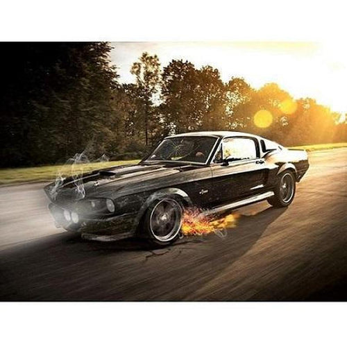 Amerikaanse auto 2 Diamond painting | Eigen foto | Dieren | Kopen | Dikke dames | Action | Nederland | Steentjes | Diamant | De Diamond Painter