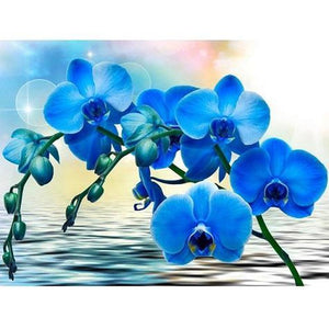 Blauwe orchidee Diamond painting | Eigen foto | Dieren | Kopen | Dikke dames | Action | Nederland | Steentjes | Diamant | De Diamond Painter