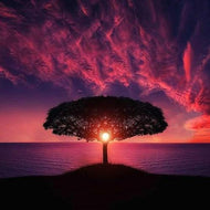 Diamond Painting - Boom bij zonsondergang
