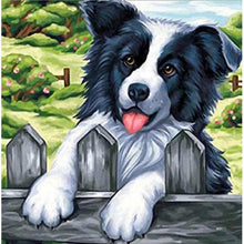Foto laden in Gallery viewer, Bordercollie Diamond painting | Eigen foto | Dieren | Kopen | Dikke dames | Action | Nederland | Steentjes | Diamant | De Diamond Painter