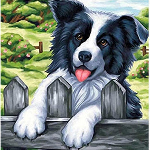 Bordercollie Diamond painting | Eigen foto | Dieren | Kopen | Dikke dames | Action | Nederland | Steentjes | Diamant | De Diamond Painter