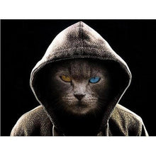 Foto laden in Gallery viewer, Coole kat met hoodie Diamond painting | Eigen foto | Dieren | Kopen | Dikke dames | Action | Nederland | Steentjes | Diamant | De Diamond Painter