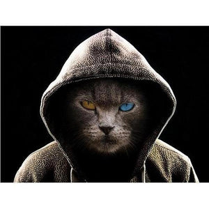 Coole kat met hoodie Diamond painting | Eigen foto | Dieren | Kopen | Dikke dames | Action | Nederland | Steentjes | Diamant | De Diamond Painter