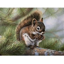 Foto laden in Gallery viewer, Eekhoorn Diamond painting | Eigen foto | Dieren | Kopen | Dikke dames | Action | Nederland | Steentjes | Diamant | De Diamond Painter