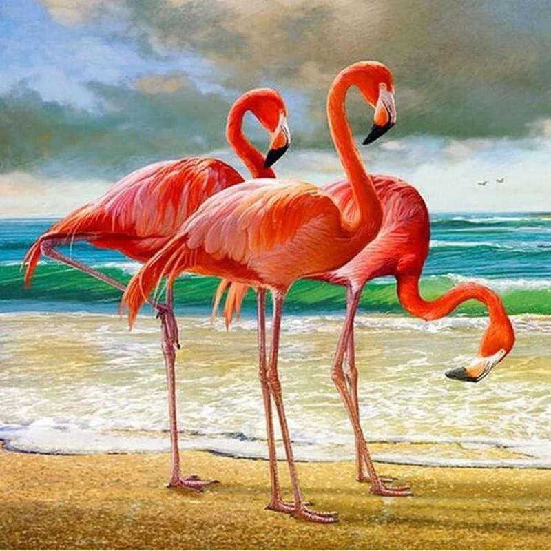 Flamingo's bij zee Diamond painting | Eigen foto | Dieren | Kopen | Dikke dames | Action | Nederland | Steentjes | Diamant | De Diamond Painter