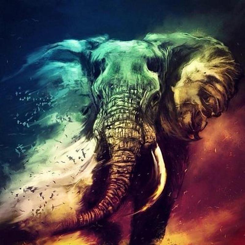 Gekleurde olifant Diamond painting | Eigen foto | Dieren | Kopen | Dikke dames | Action | Nederland | Steentjes | Diamant | De Diamond Painter