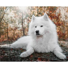 Foto laden in Gallery viewer, Hond Diamond painting | Eigen foto | Dieren | Kopen | Dikke dames | Action | Nederland | Steentjes | Diamant | De Diamond Painter