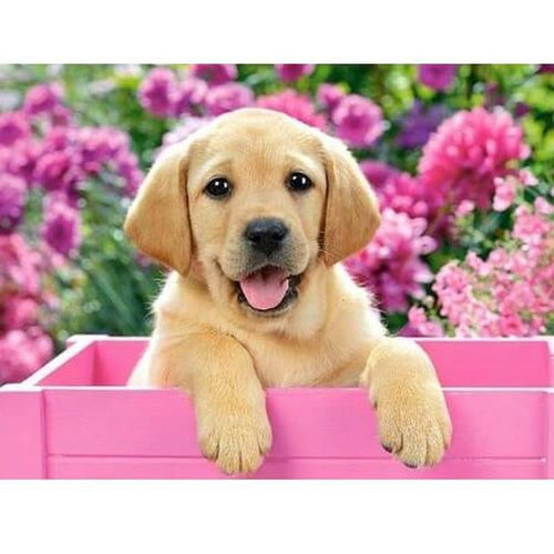 Hondje met roze bloemen Diamond painting | Eigen foto | Dieren | Kopen | Dikke dames | Action | Nederland | Steentjes | Diamant | De Diamond Painter