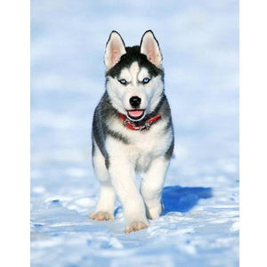 Husky puppy Diamond painting | Eigen foto | Dieren | Kopen | Dikke dames | Action | Nederland | Steentjes | Diamant | De Diamond Painter