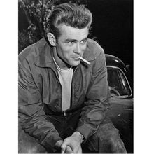 Foto laden in Gallery viewer, James Dean Diamond painting | Eigen foto | Dieren | Kopen | Dikke dames | Action | Nederland | Steentjes | Diamant | De Diamond Painter