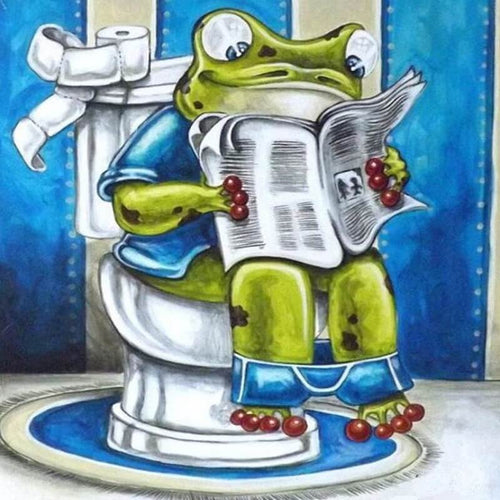 Kikker op toilet | 7 soorten Diamond painting | Eigen foto | Dieren | Kopen | Dikke dames | Action | Nederland | Steentjes | Diamant | De Diamond Painter