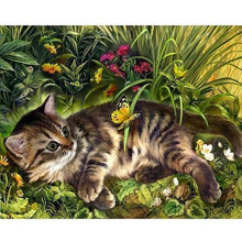 Foto laden in Gallery viewer, Kitten Diamond painting | Eigen foto | Dieren | Kopen | Dikke dames | Action | Nederland | Steentjes | Diamant | De Diamond Painter