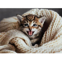 Foto laden in Gallery viewer, Kitten in deken Diamond painting | Eigen foto | Dieren | Kopen | Dikke dames | Action | Nederland | Steentjes | Diamant | De Diamond Painter