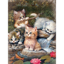 Foto laden in Gallery viewer, Kittens bij het water Diamond painting | Eigen foto | Dieren | Kopen | Dikke dames | Action | Nederland | Steentjes | Diamant | De Diamond Painter