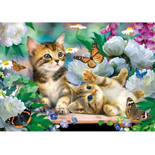 Foto laden in Gallery viewer, Kittens met vlinder Diamond painting | Eigen foto | Dieren | Kopen | Dikke dames | Action | Nederland | Steentjes | Diamant | De Diamond Painter